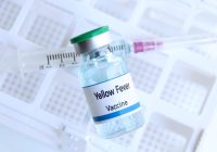 Yellow fever vaccine