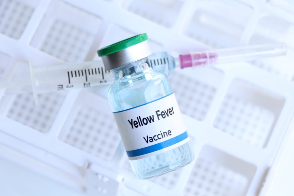 Yellow Fever Vaccine: Importance and Recommendations for Summer Travel