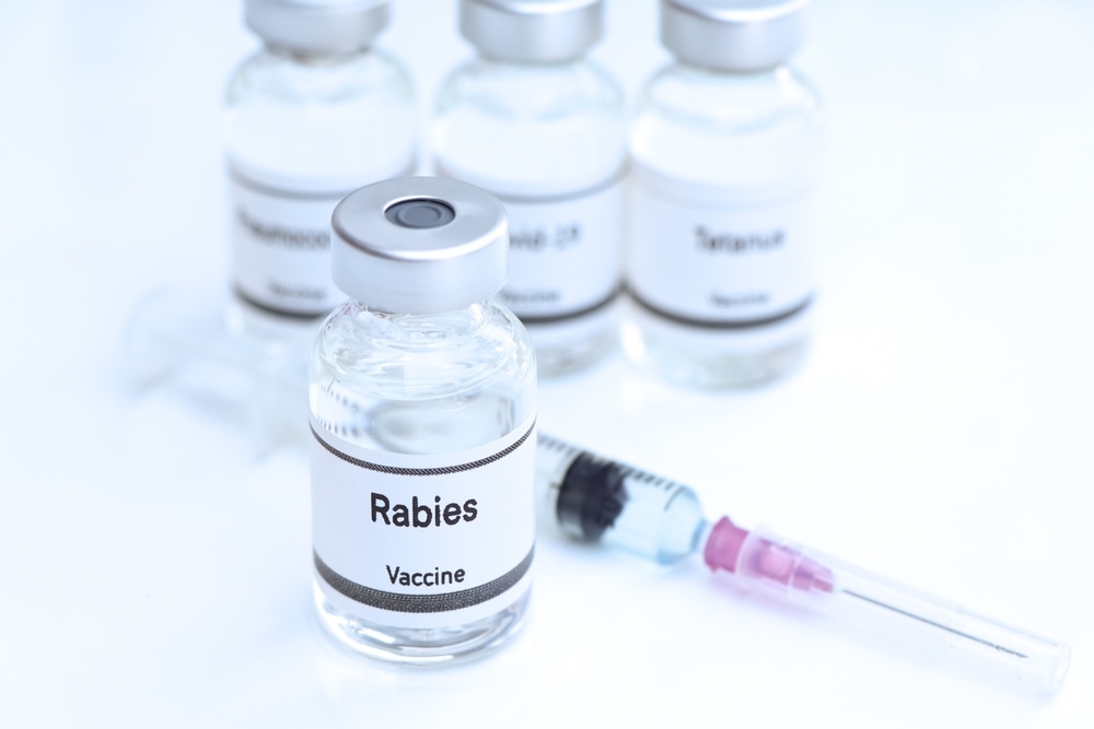 Rabies Prevention and Control Measures